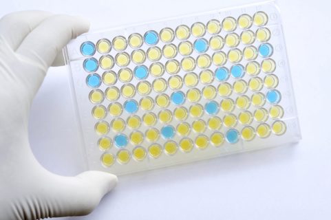 medical_lab_img_08 medical_lab_img_08