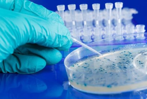 medical_lab_img_11 medical_lab_img_11